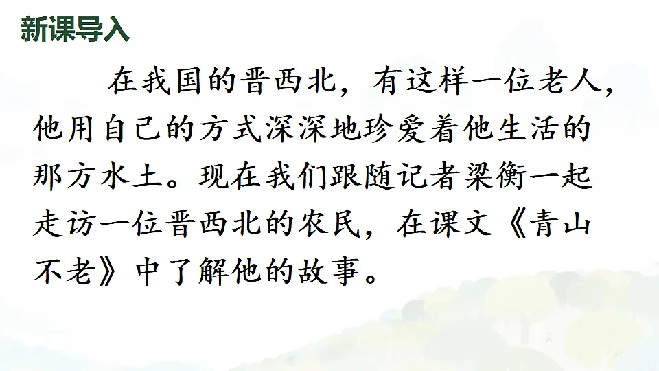 17328161第2页