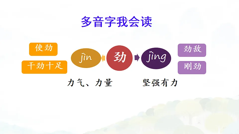 17328161第5页