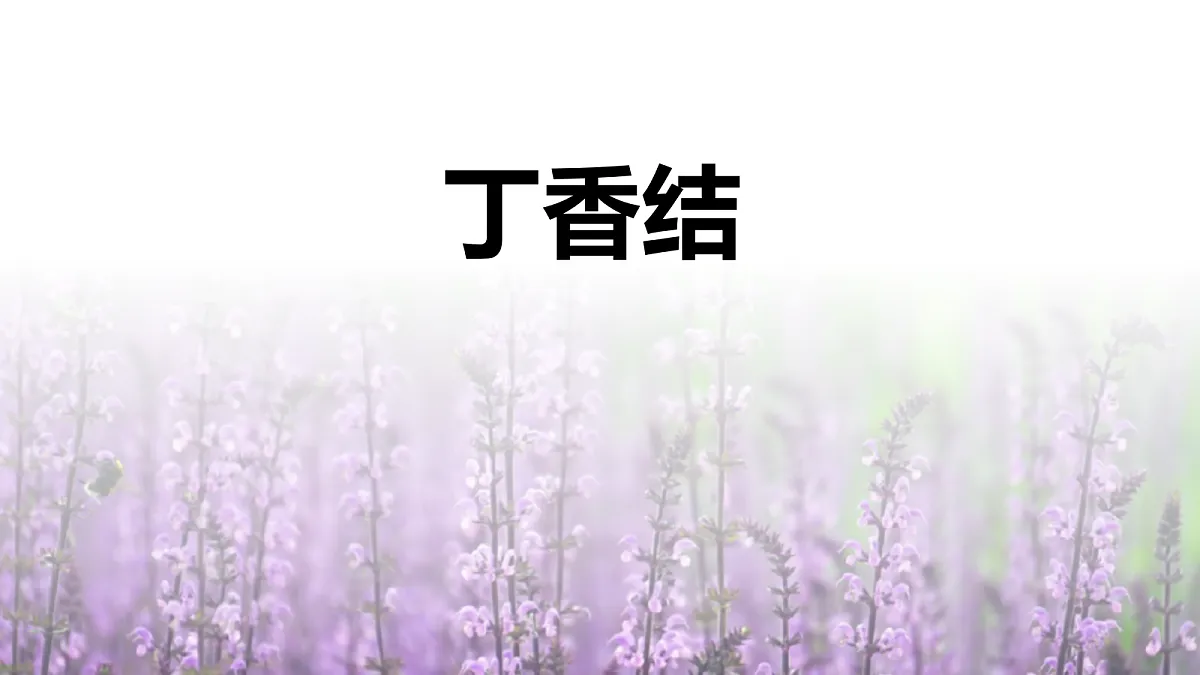 17328168第1页