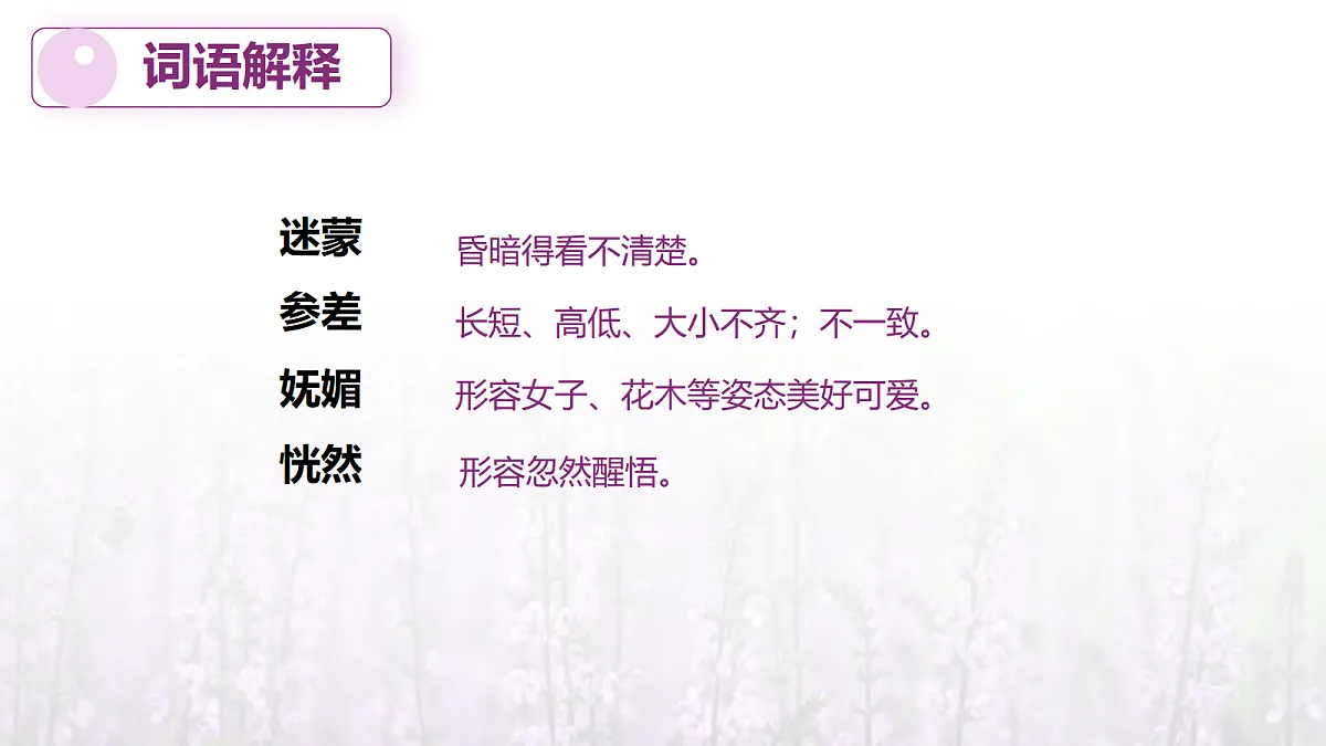 17328168第6页