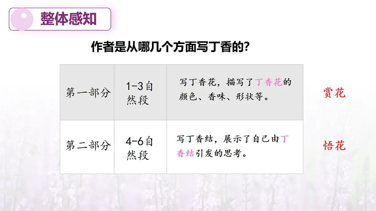 17328168第8页