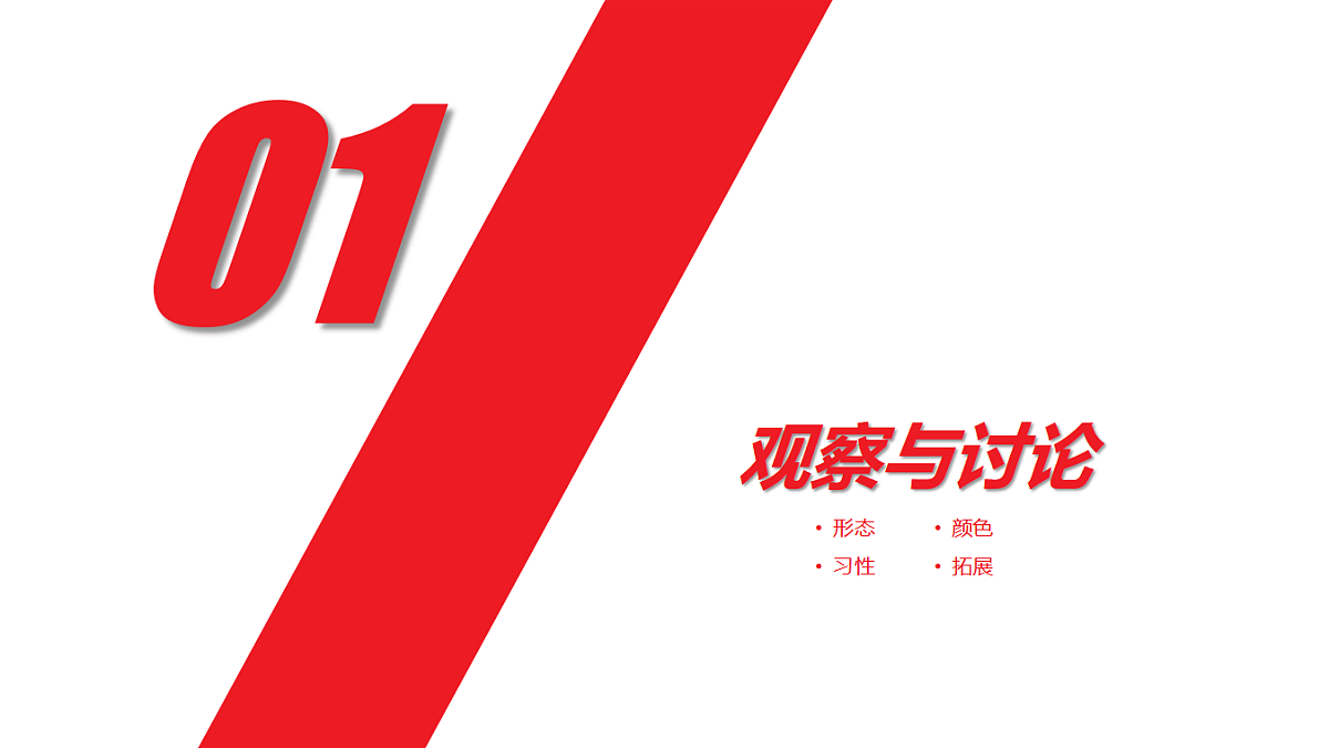 17328560第3页
