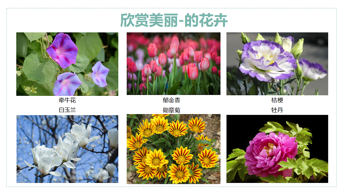 17328574第5页
