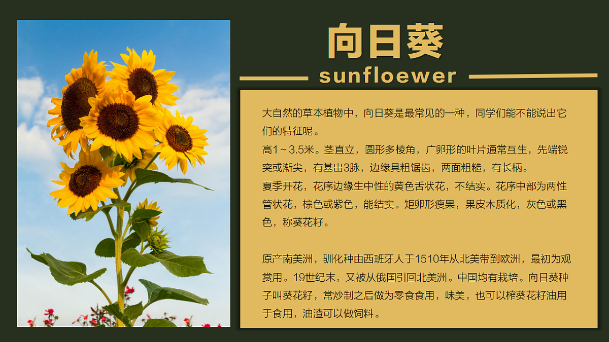 17328583第2页