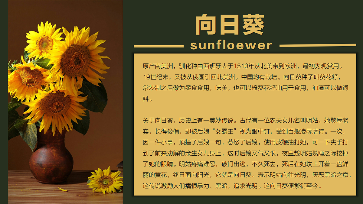 17328583第3页