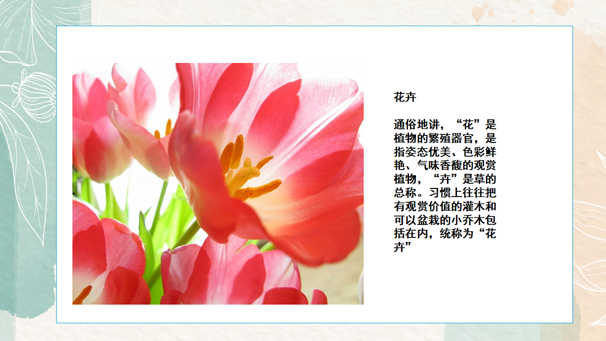 17328599第5页