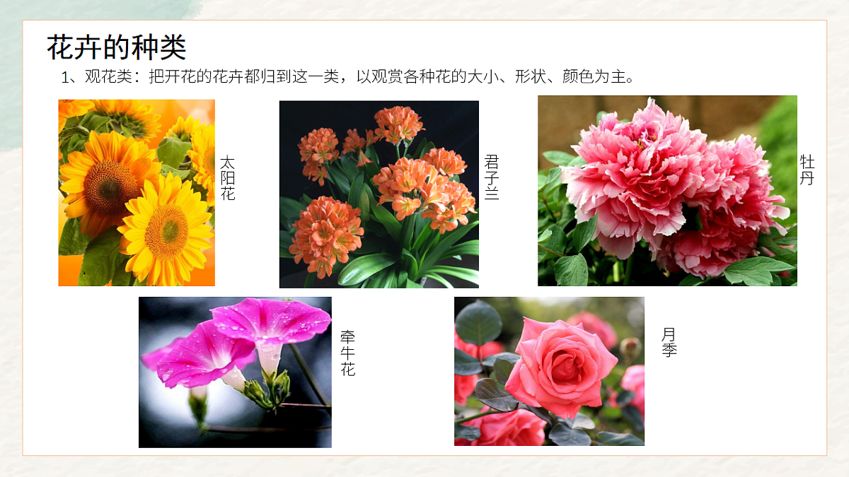 17328599第6页