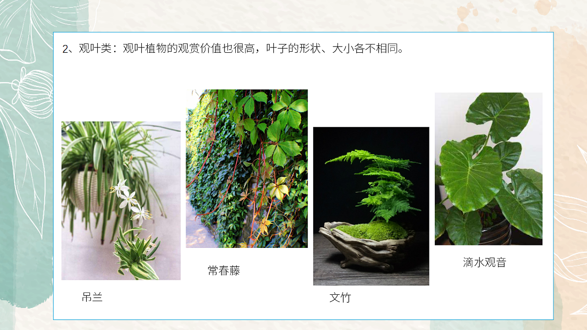 17328599第7页
