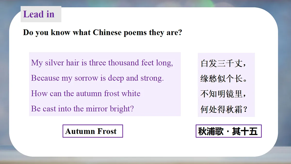 17328651第6页