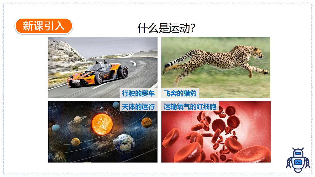 17328781第3页