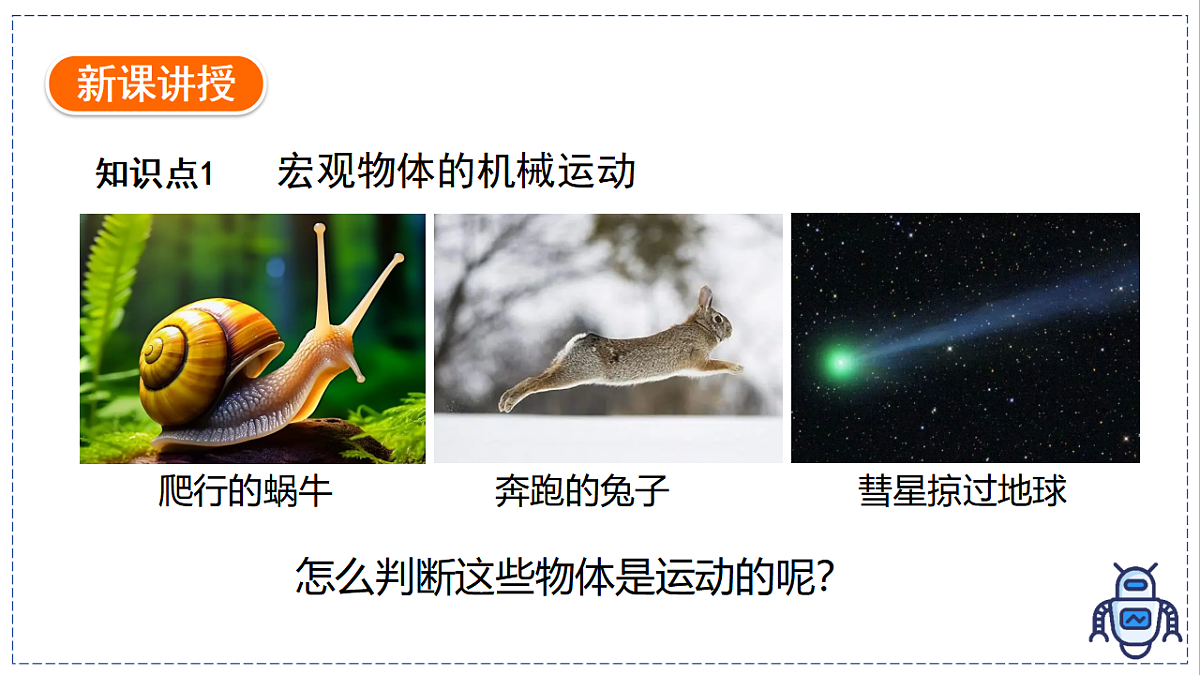 17328781第4页
