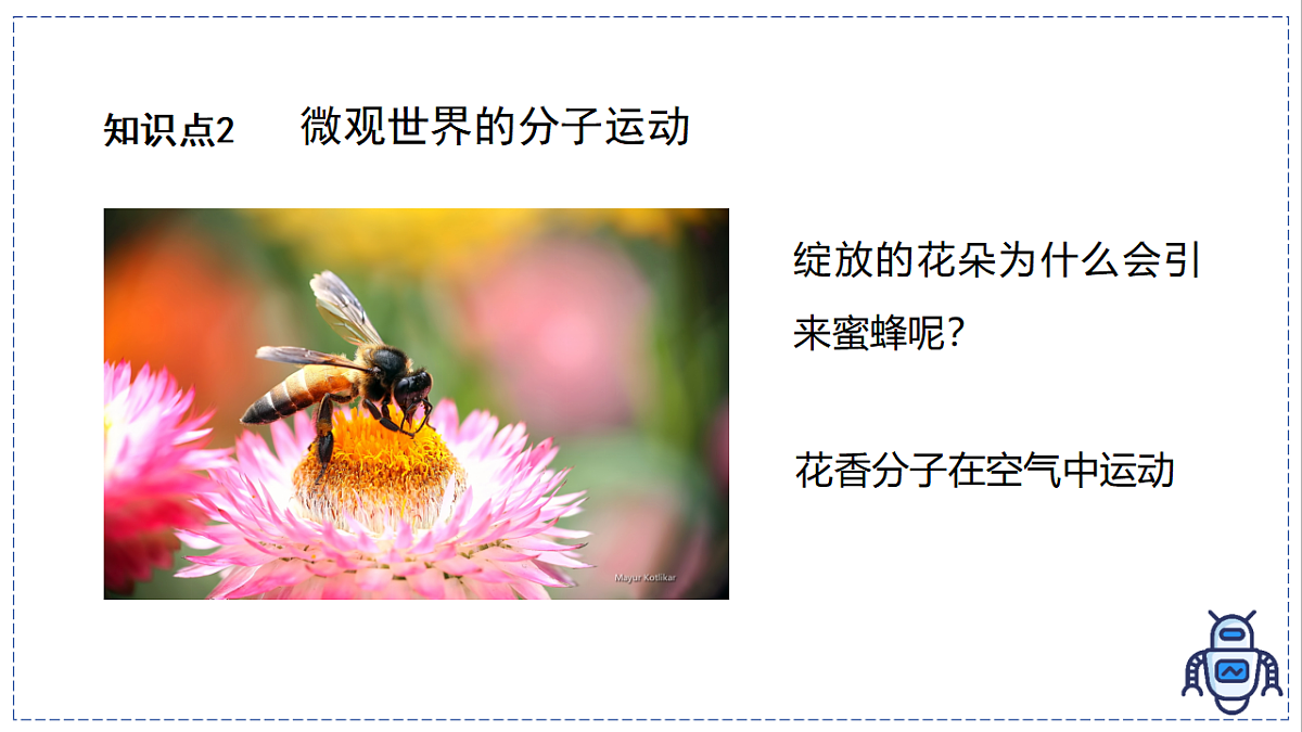 17328781第8页