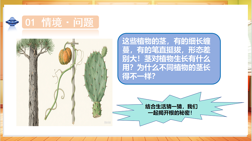 1.4 植物的茎（教学课件）科学粤教粤科版三年级上册（新教材）第5页