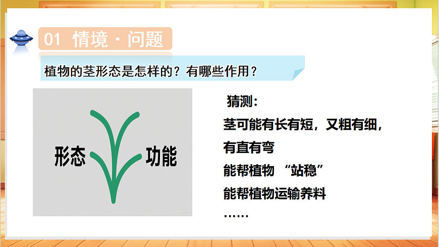 1.4 植物的茎（教学课件）科学粤教粤科版三年级上册（新教材）第6页