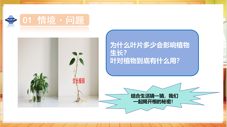 1.5 植物的叶（教学课件）科学粤教粤科版三年级上册（新教材）第5页
