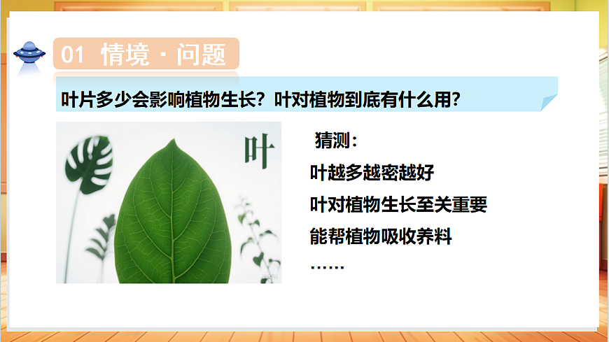1.5 植物的叶（教学课件）科学粤教粤科版三年级上册（新教材）第6页