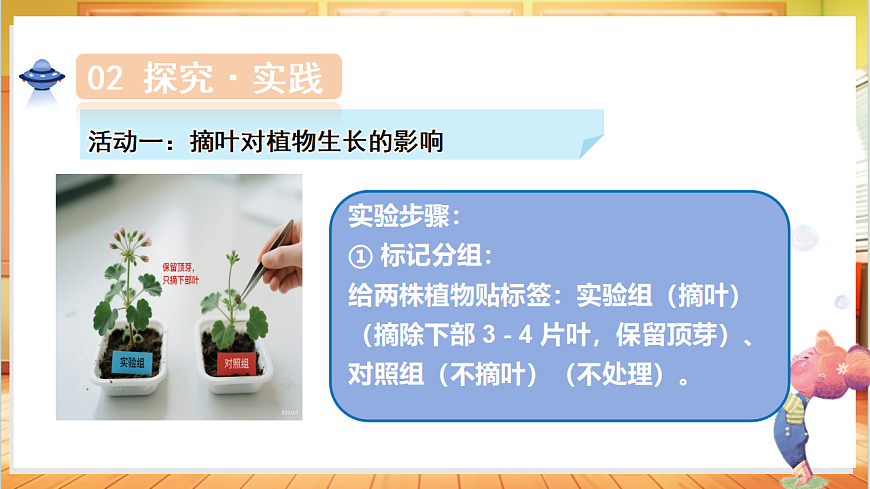 1.5 植物的叶（教学课件）科学粤教粤科版三年级上册（新教材）第7页