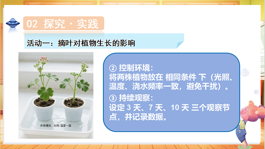 1.5 植物的叶（教学课件）科学粤教粤科版三年级上册（新教材）第8页