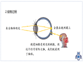 教科版物理（2024）八年级上册 4.6 跨学科实践：眼睛 课件 (2)