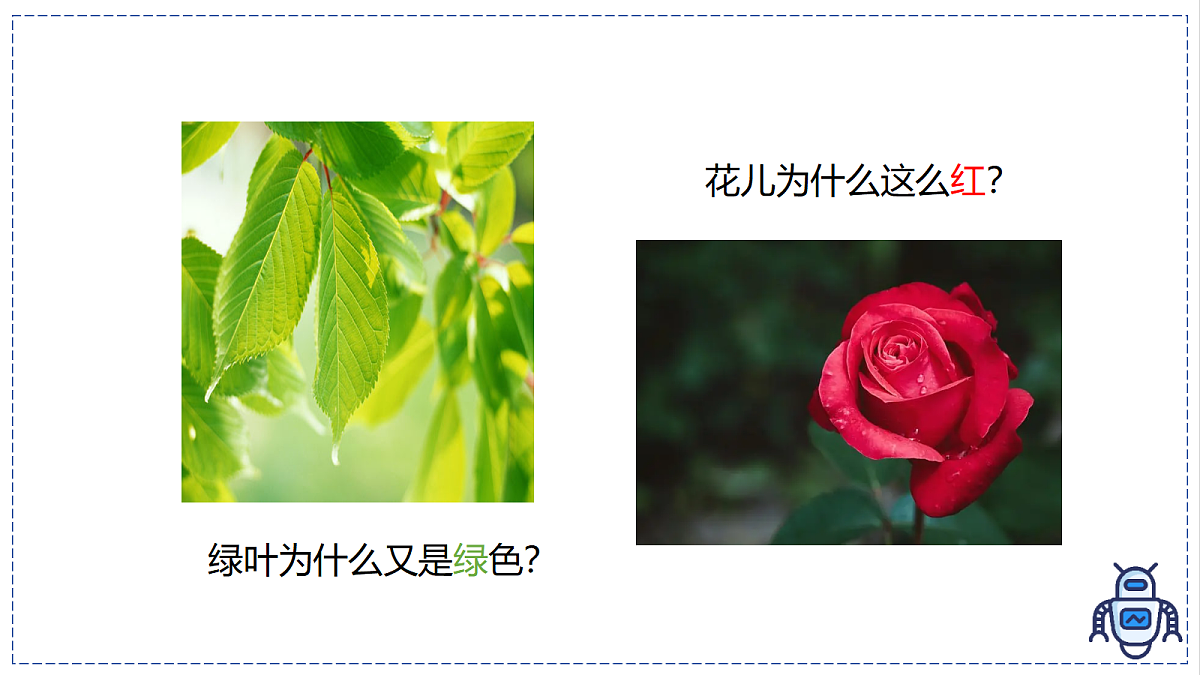17328996第4页