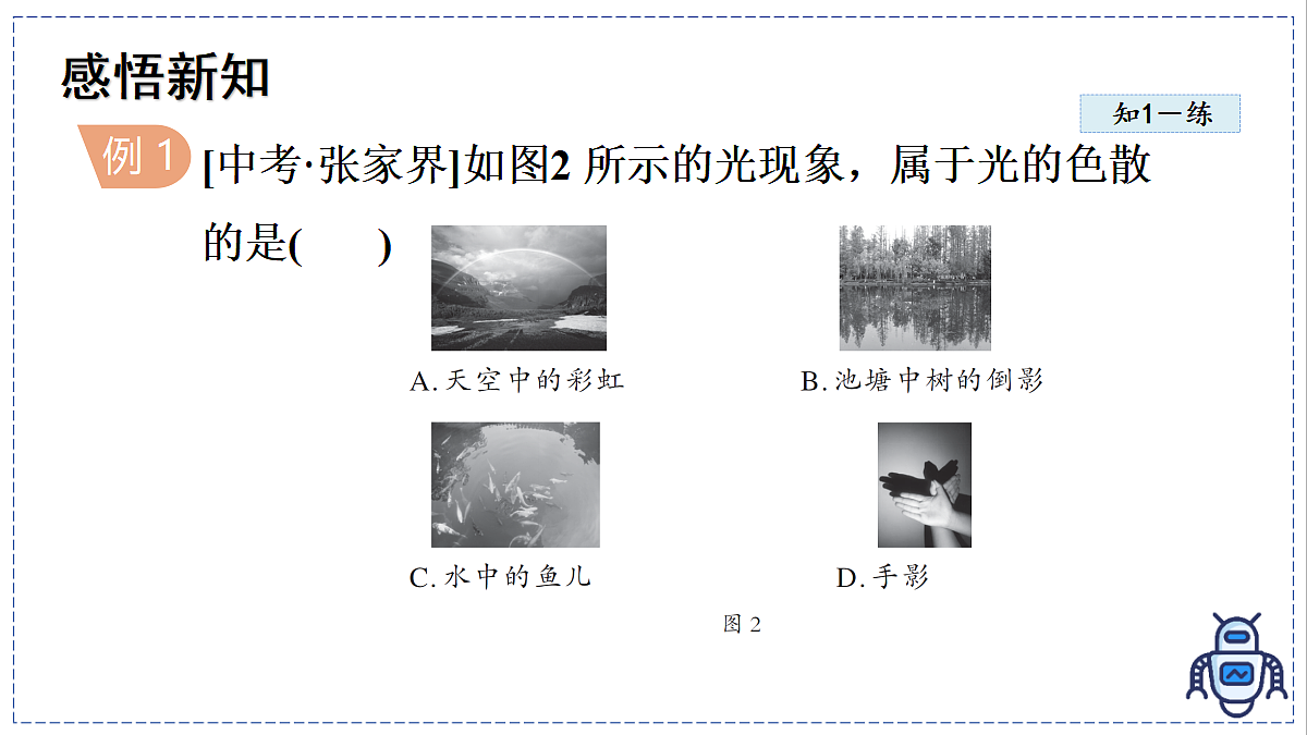 17328997第5页