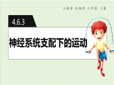 人教版八年级生物上册4.6.3《神经系统支配下的运动》（课件）