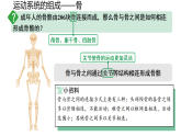 人教版八年级生物上册4.6.3《神经系统支配下的运动》（课件）