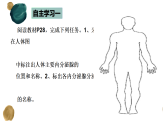 人教版生物八年级上册4.6.4《激素调节》教学课件