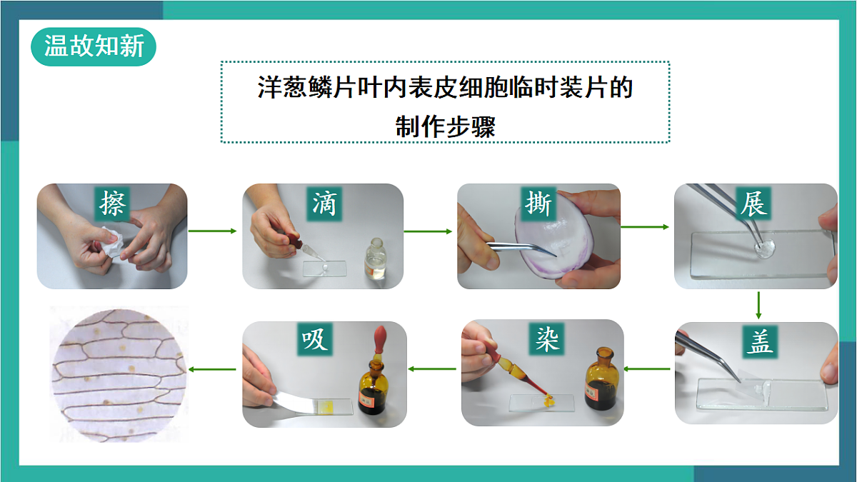 17329187第2页