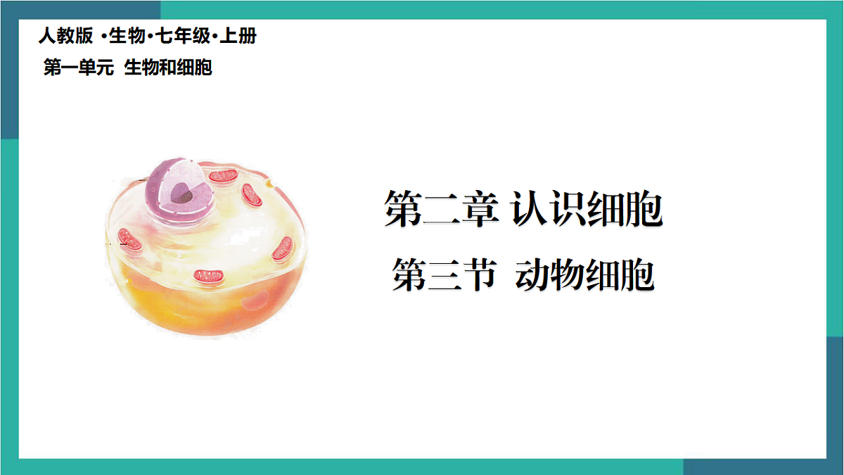 17329187第4页