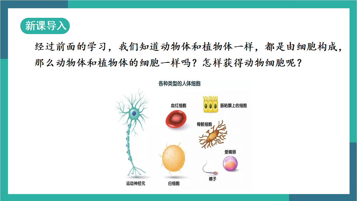 17329187第5页