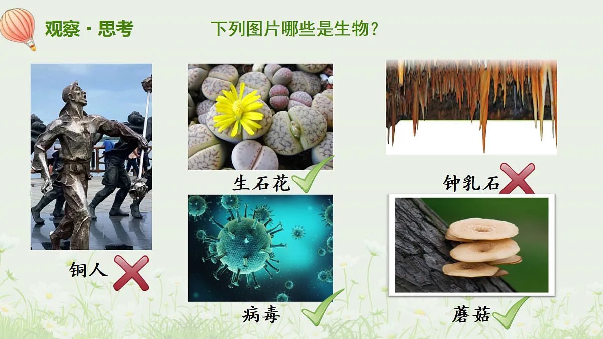 17329188第4页