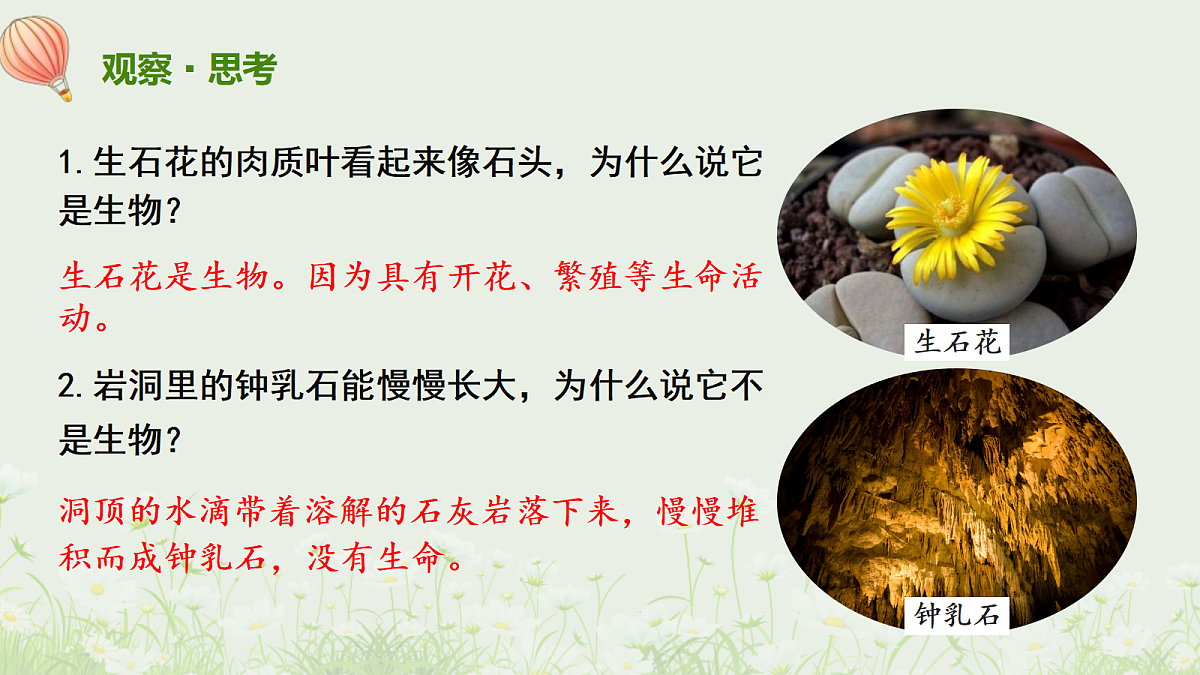 17329188第5页
