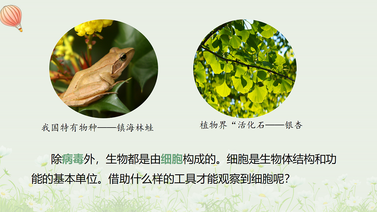 17329189第3页