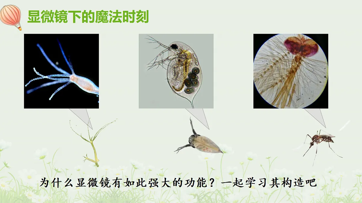 17329189第8页