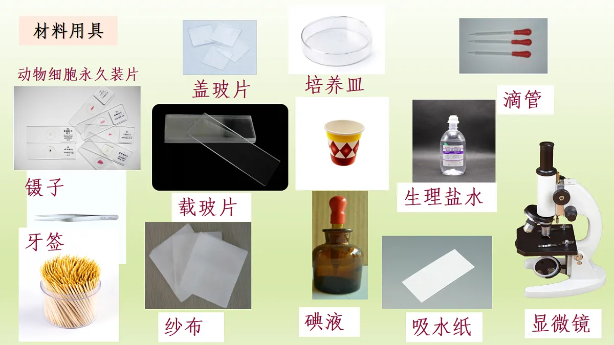17329190第4页