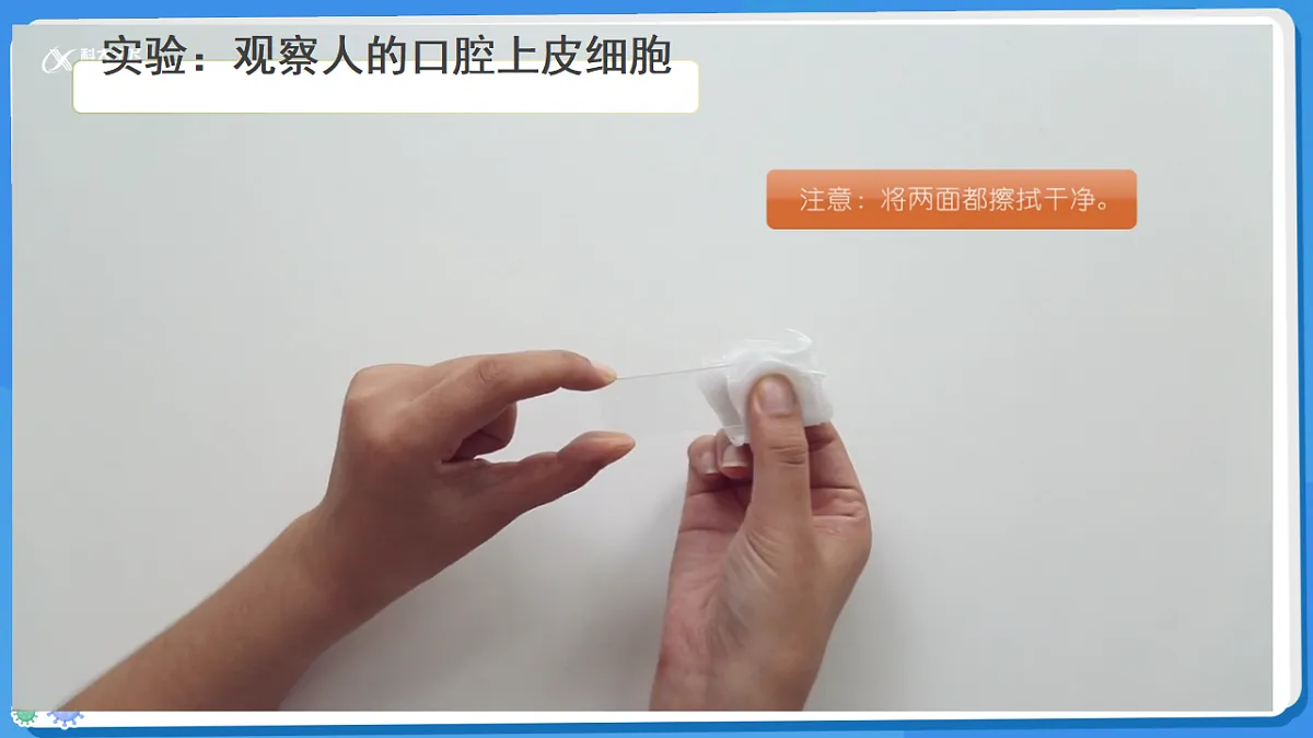 17329190第6页