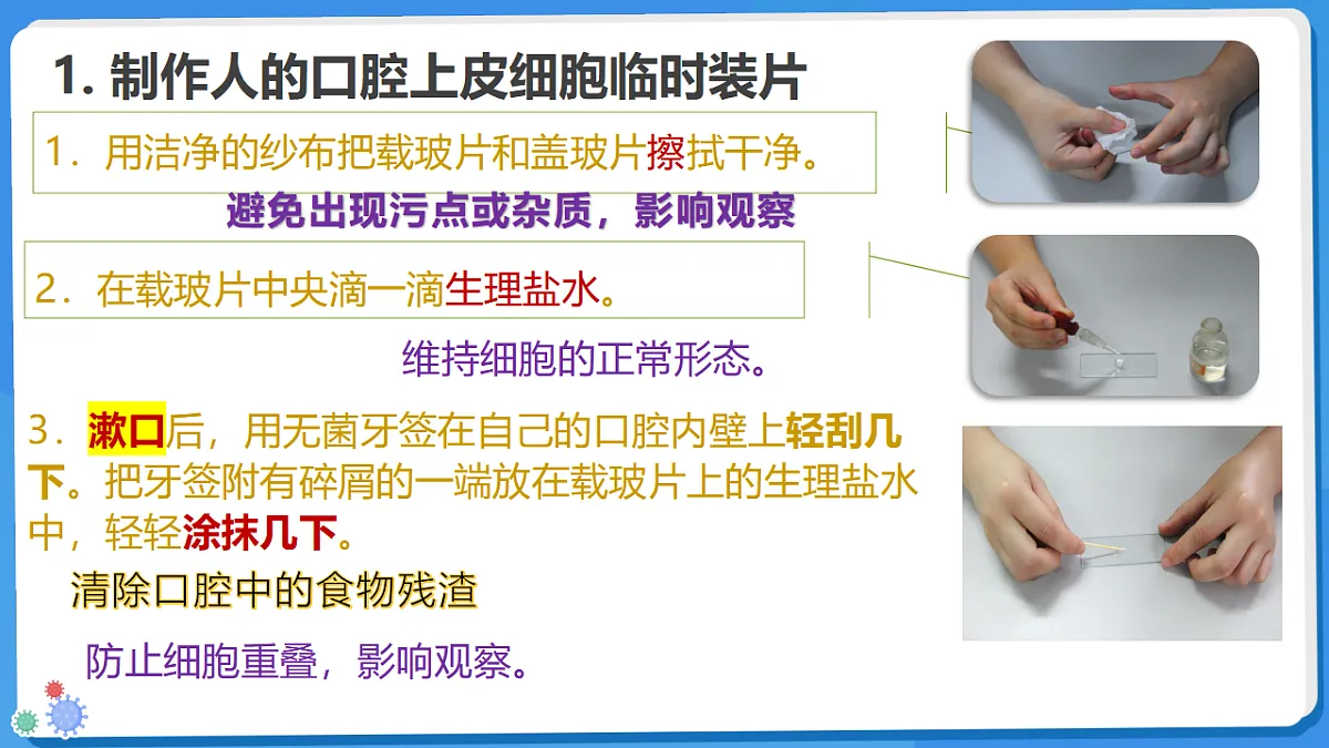 17329190第8页
