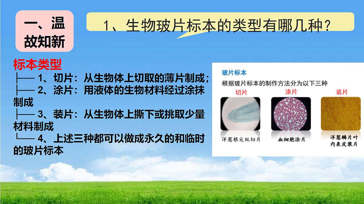 17329191第2页