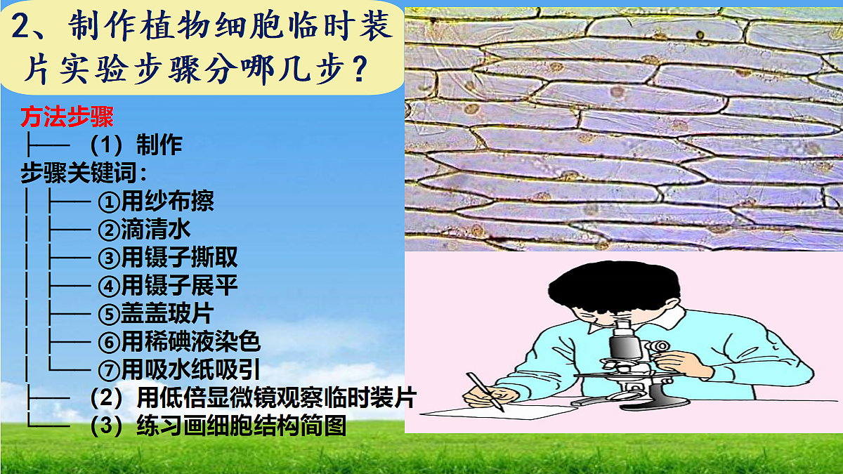 17329191第3页