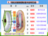 人教版生物七年级上册1.2.3《动物细胞》课件