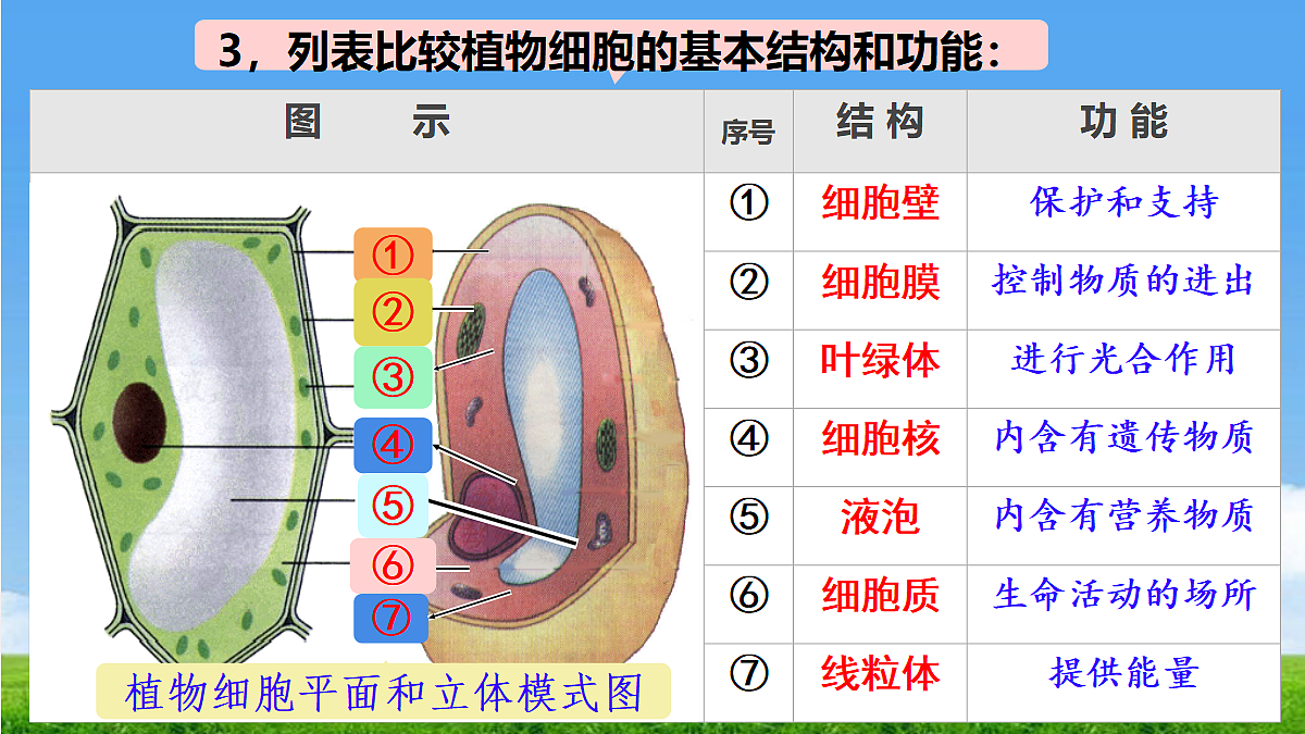 17329191第4页