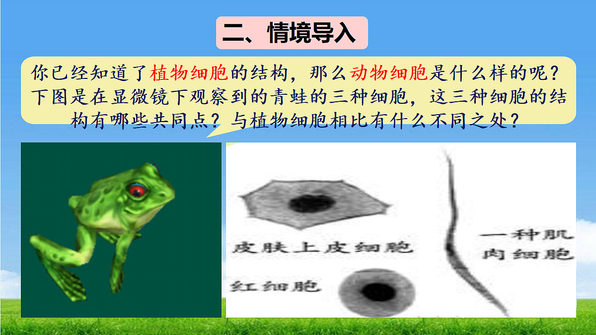 17329191第5页