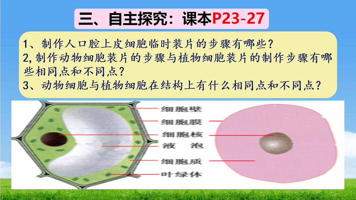 17329191第6页