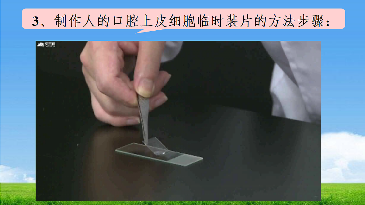 17329191第8页