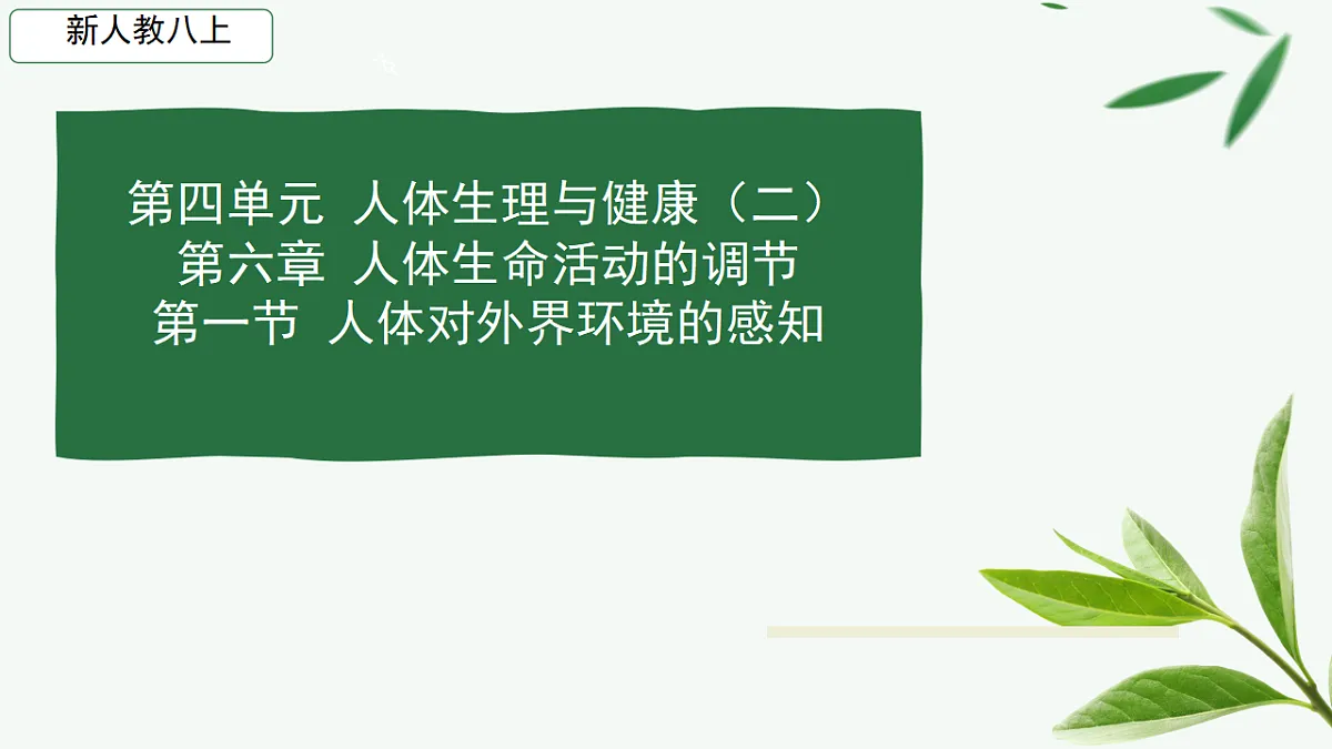 17329204第2页