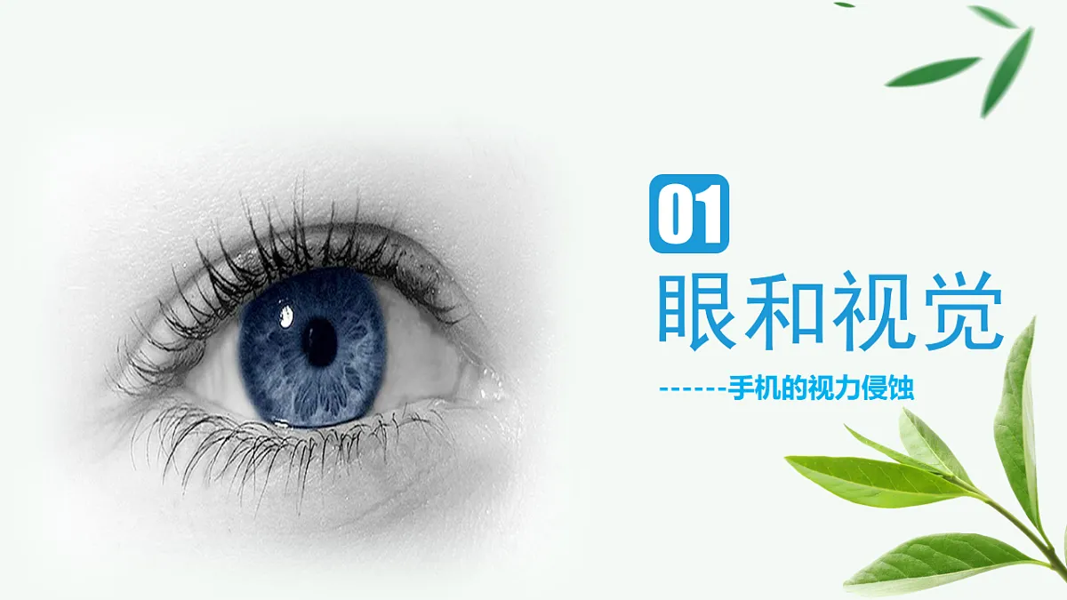 17329204第4页
