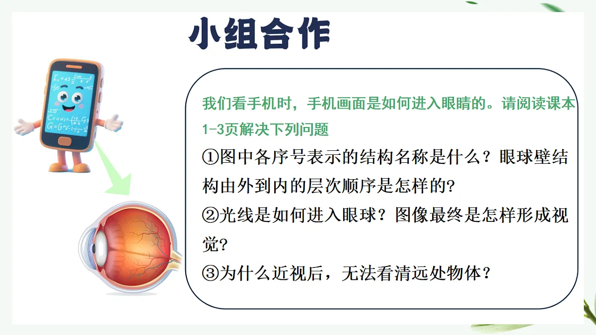 17329204第5页
