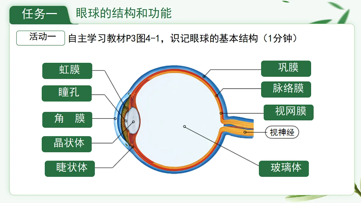 17329204第6页