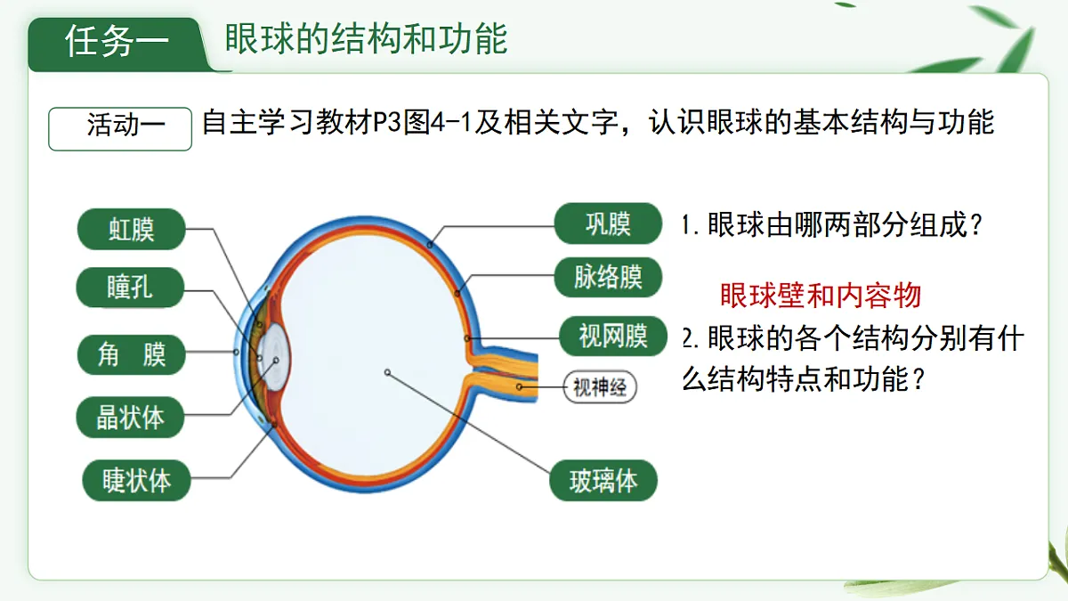 17329204第7页